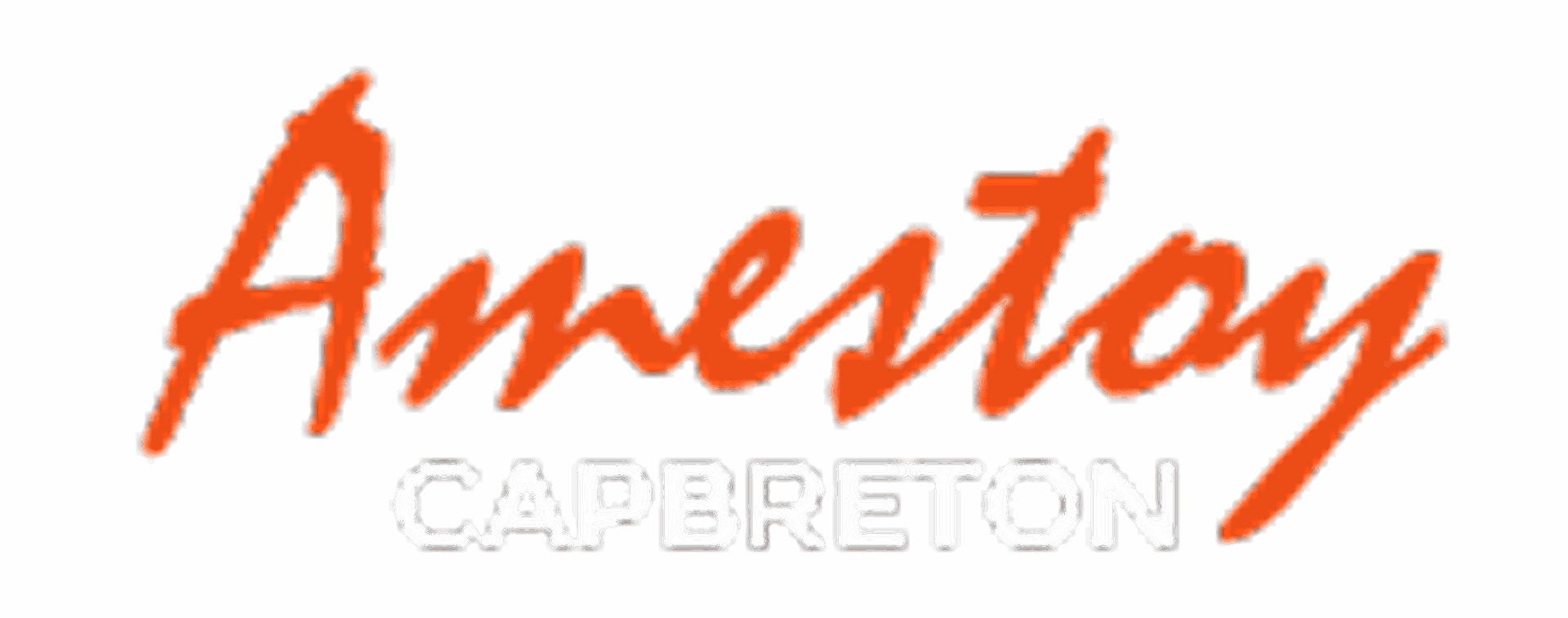 Menuiserie Amestoy Menuisier Soorts Hossegor Logo